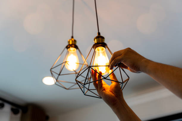 Best Electrician for Home Renovation  in Elkader, IA