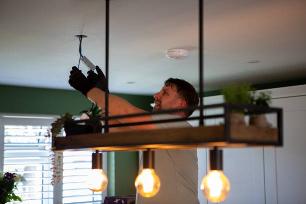 Best Electric Panel Repair  in Elkader, IA