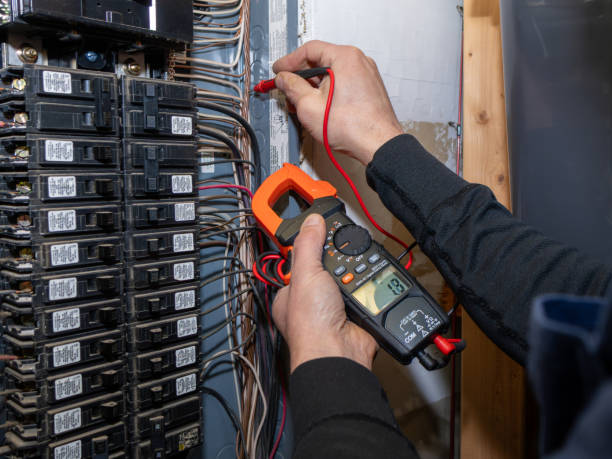 Best Electrical Repair Services  in Elkader, IA